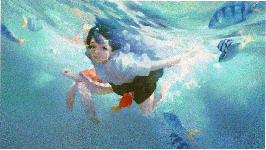 海贼王详情